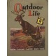Футболка  Классическая  Outdoor Life с принтом . Олива.